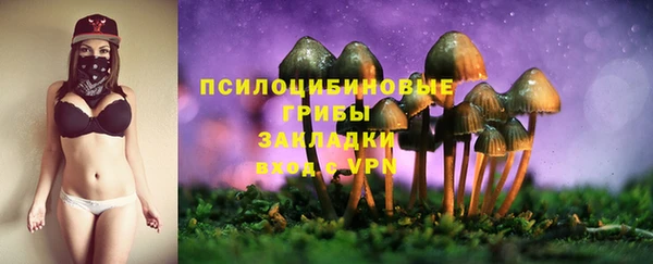 стафф Тихвин