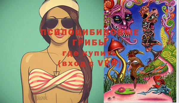 мяу мяу мука Сясьстрой